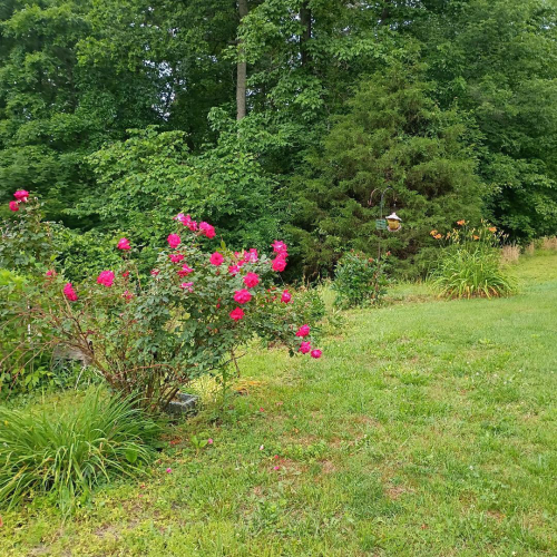 Listing Image 25