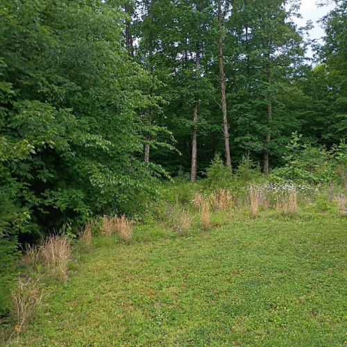 Listing Image 27