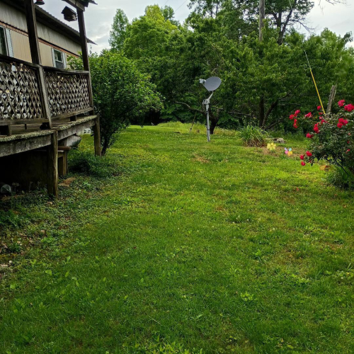 Listing Image 28