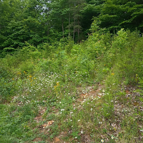 Listing Image 37