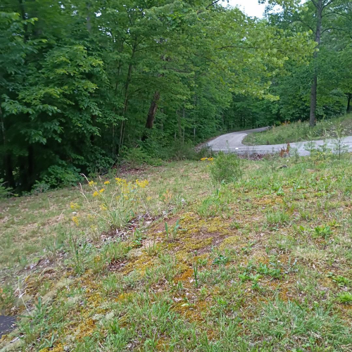 Listing Image 38
