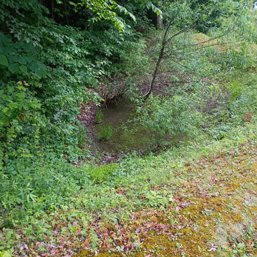 Listing Image 39