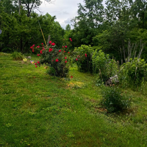 Listing Image 41