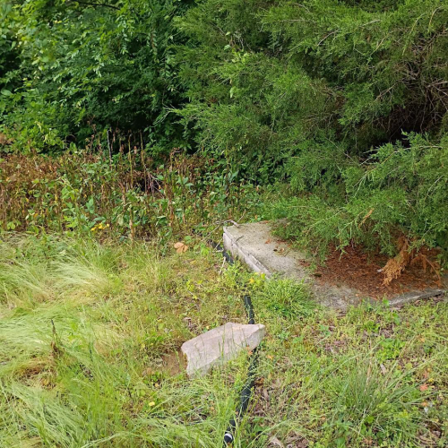 Listing Image 42