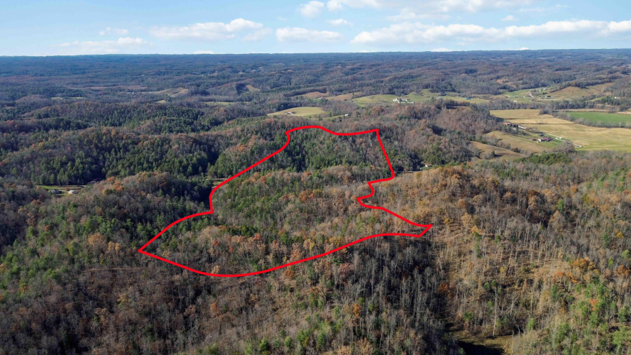 Listing Image 18
