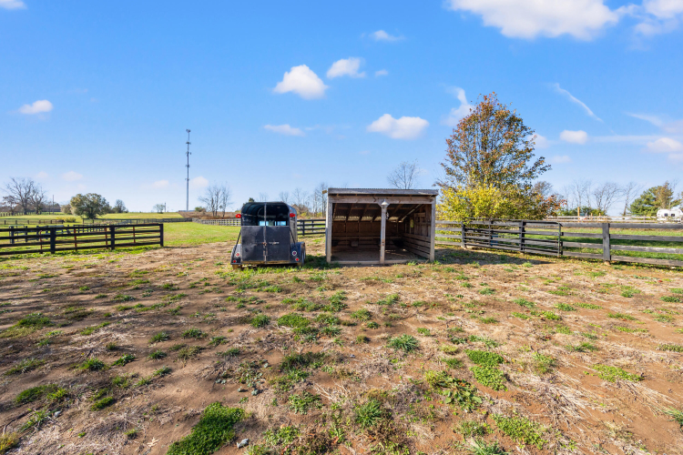 Listing Image 65
