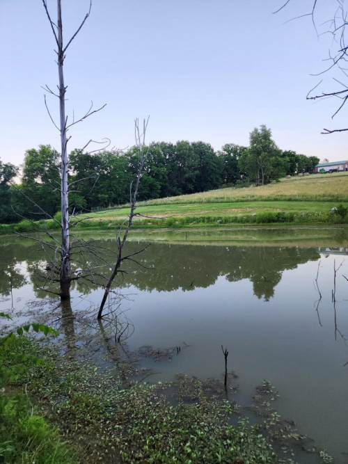 Listing Image 69