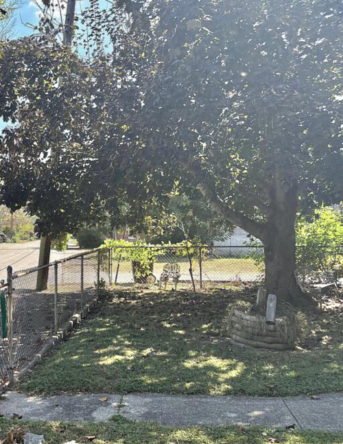 Listing Image 13
