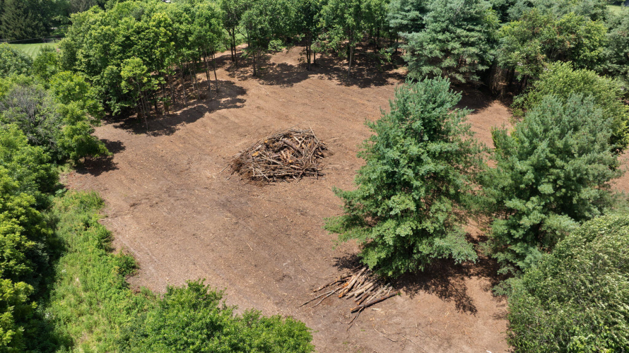 Listing Image 15