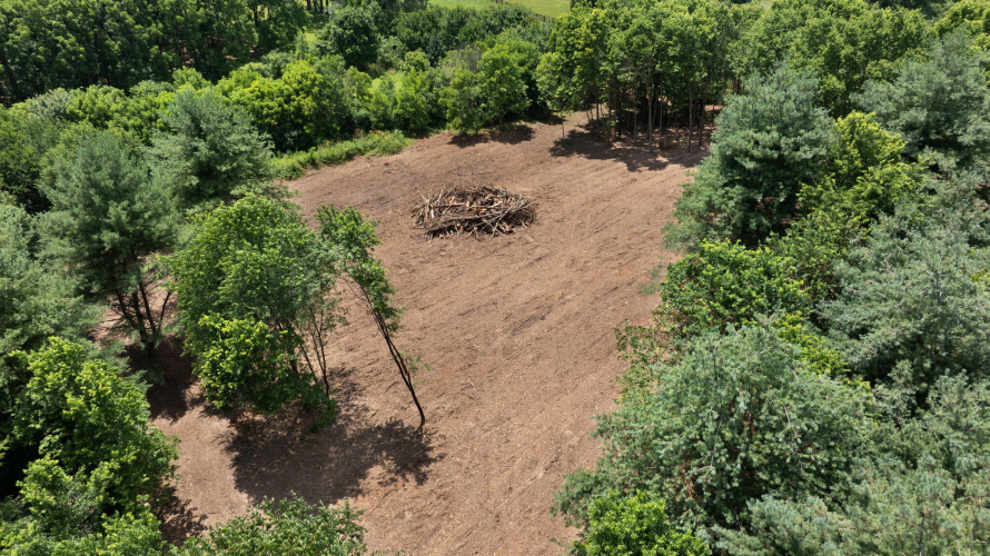 Listing Image 16