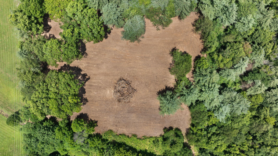 Listing Image 21