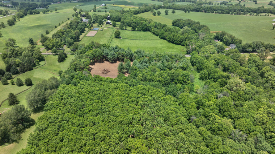 Listing Image 23