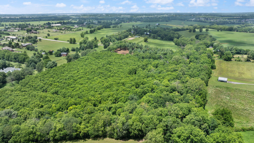 Listing Image 33