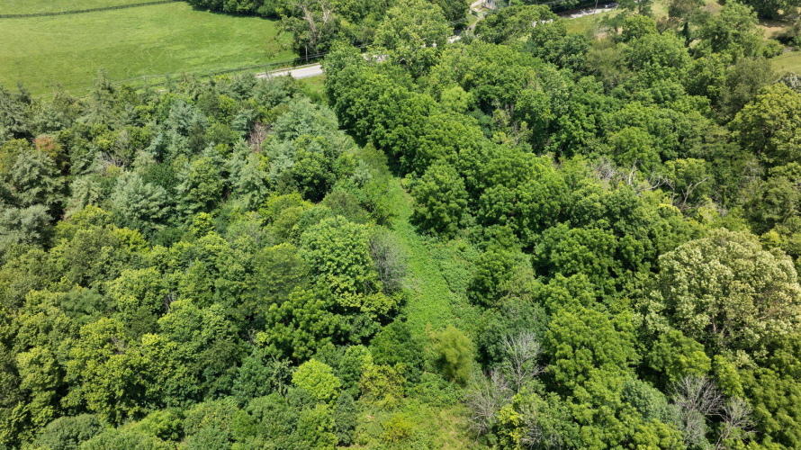 Listing Image 41