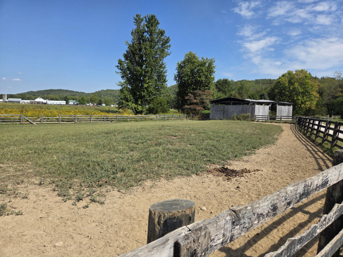 Listing Image 44