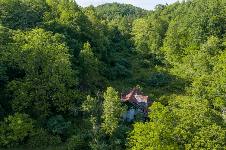 Listing Image 14