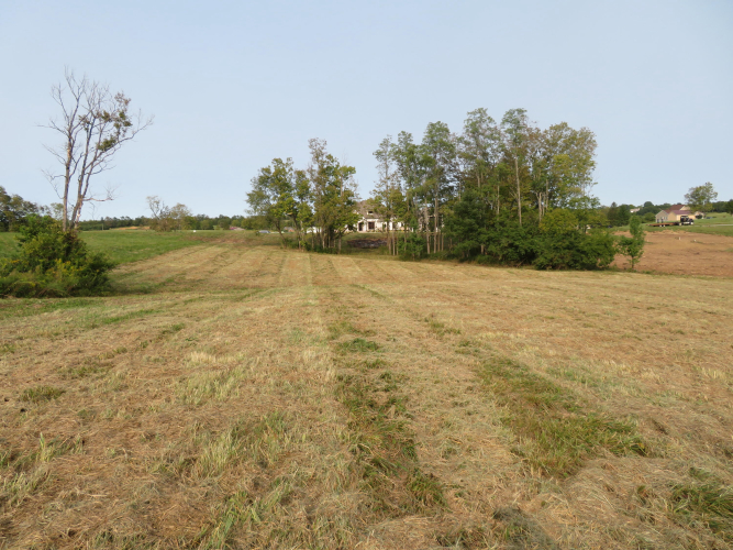 Listing Image 8