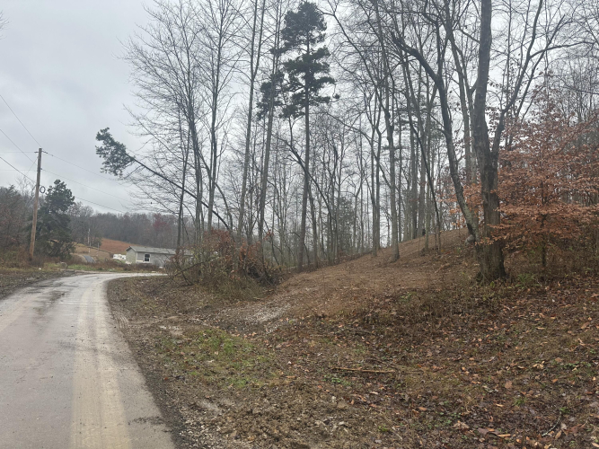 Listing Image 17