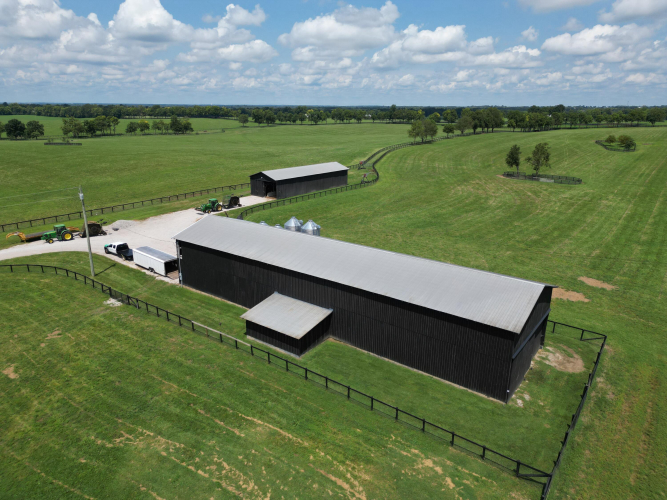 Listing Image 21