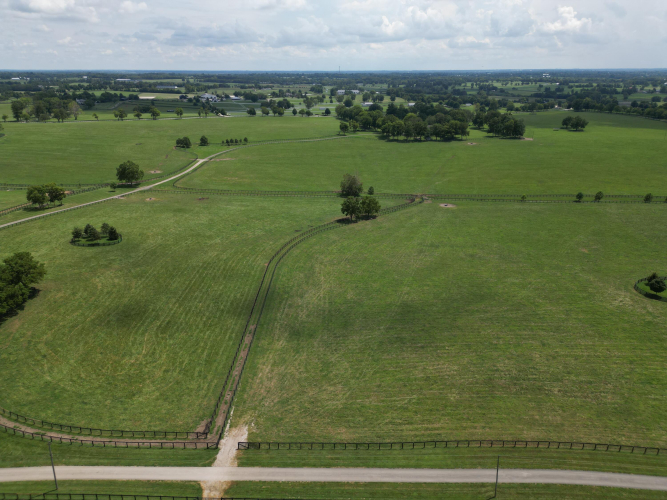 Listing Image 28