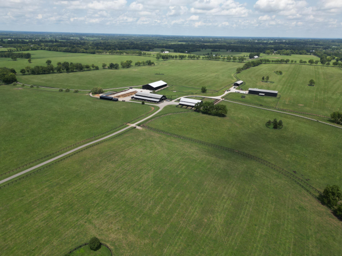 Listing Image 29