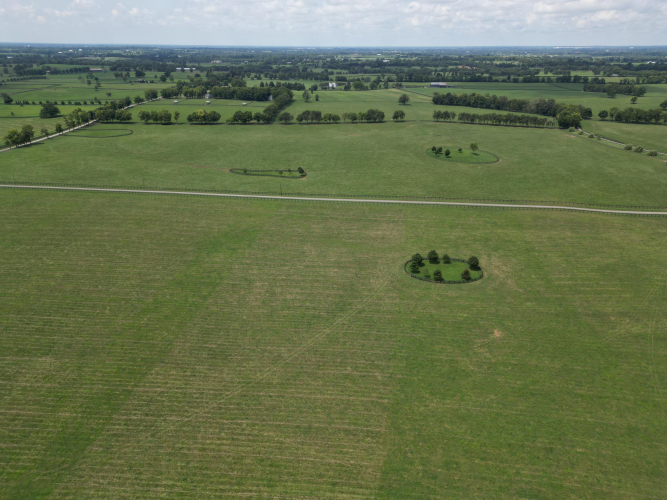 Listing Image 30