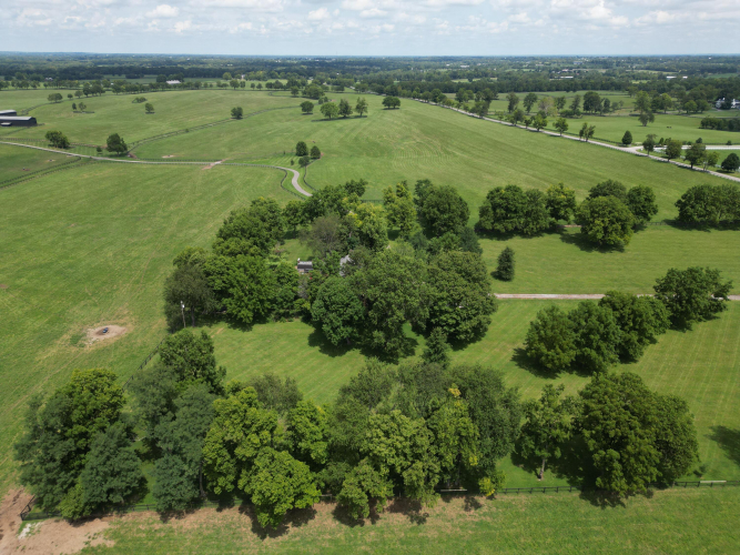 Listing Image 31