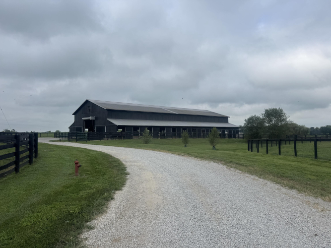 Listing Image 39