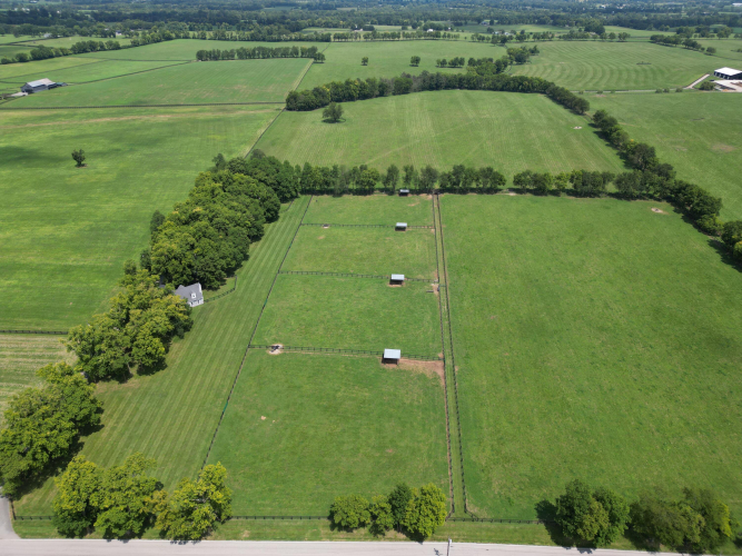 Listing Image 9