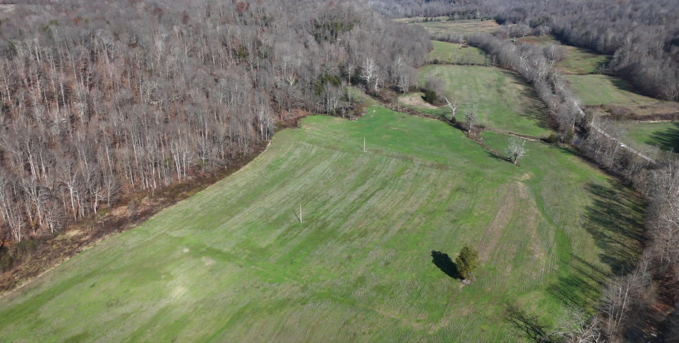 Listing Image 17