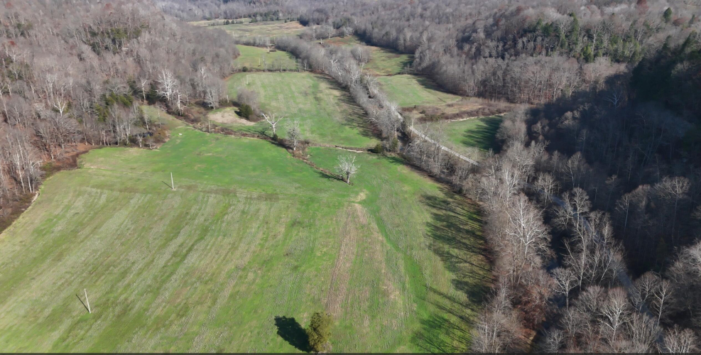 Listing Image 18