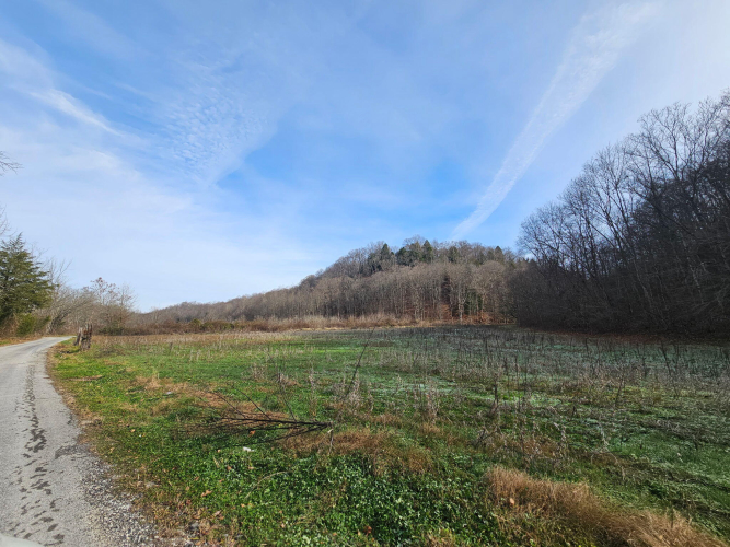Listing Image 8