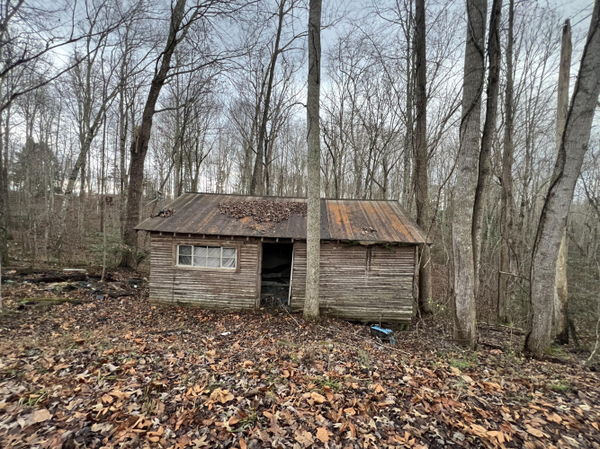 Listing Image 7