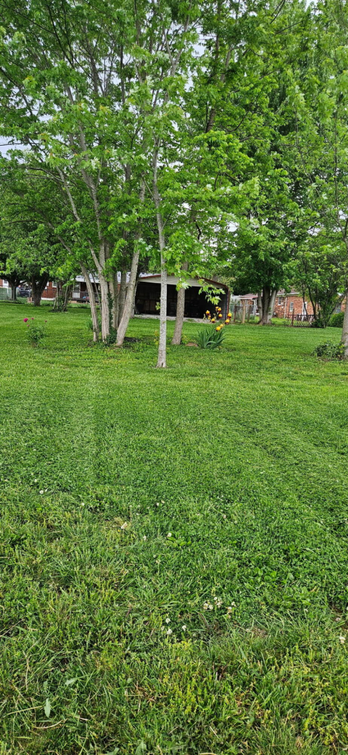 Listing Image 41