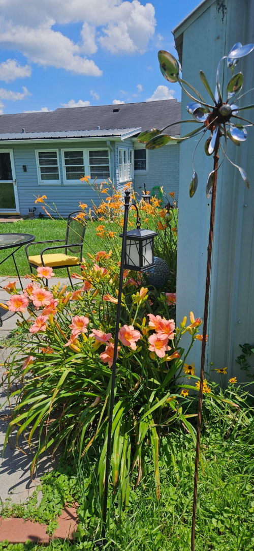 Listing Image 43