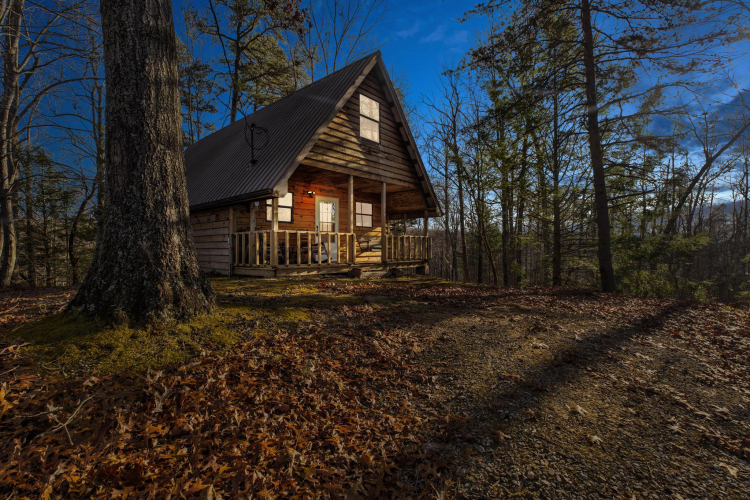 Listing Image 15