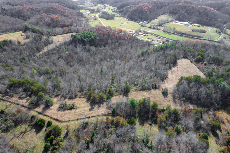 Listing Image 13