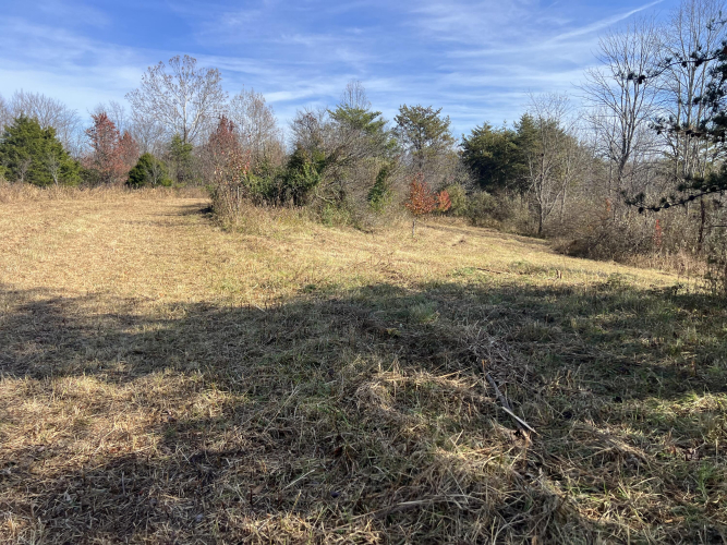 Listing Image 18