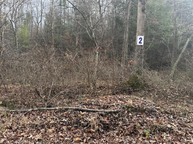 Listing Image 8