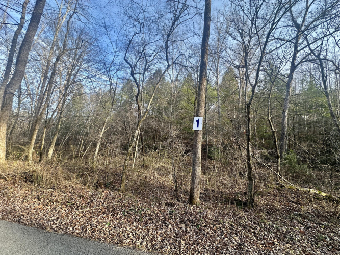 Listing Image 5