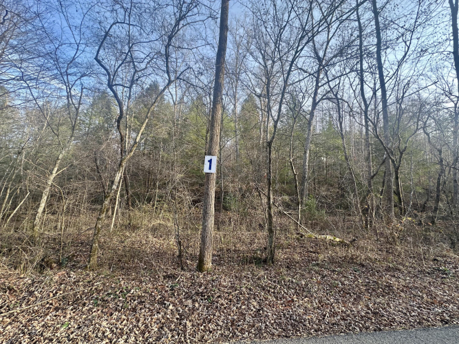 Listing Image 6