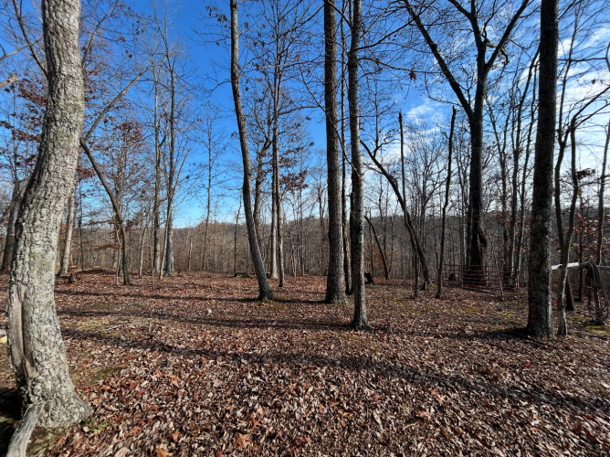 Listing Image 4