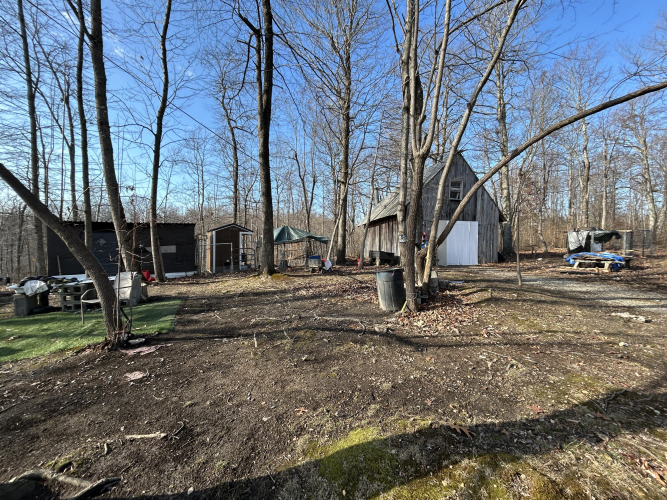 Listing Image 7