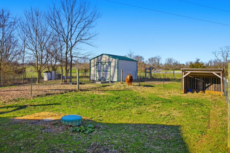 Listing Image 105