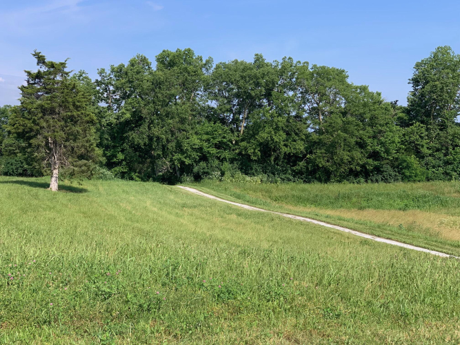 Listing Image 34