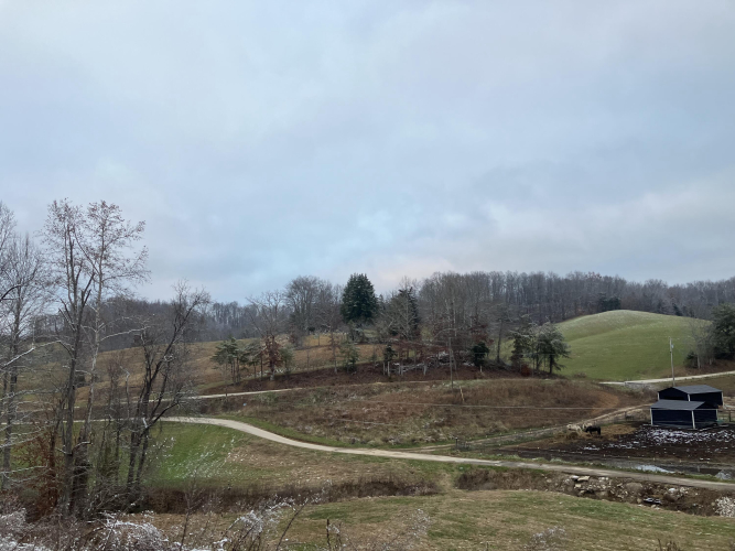 Listing Image 31