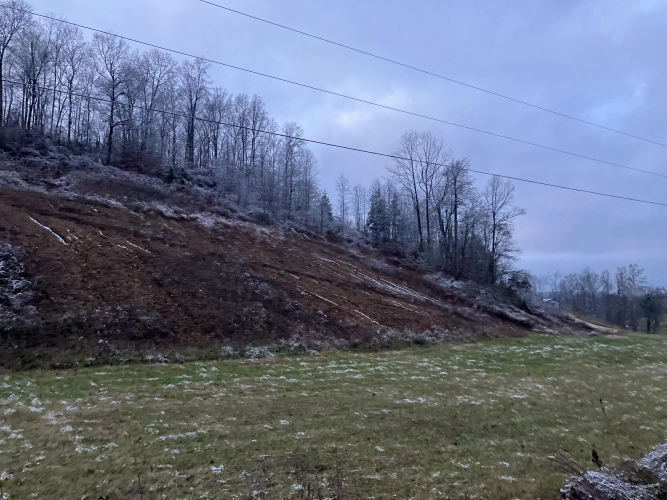 Listing Image 32