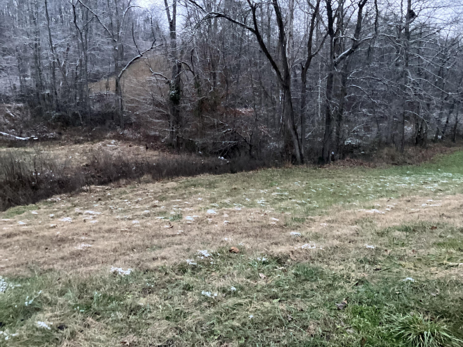 Listing Image 37