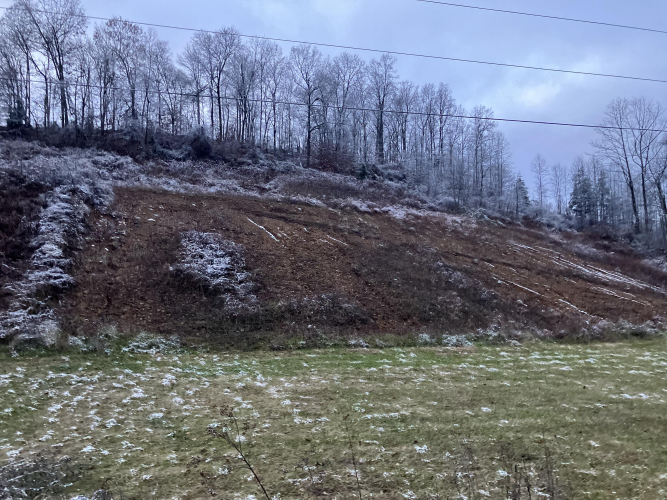 Listing Image 38