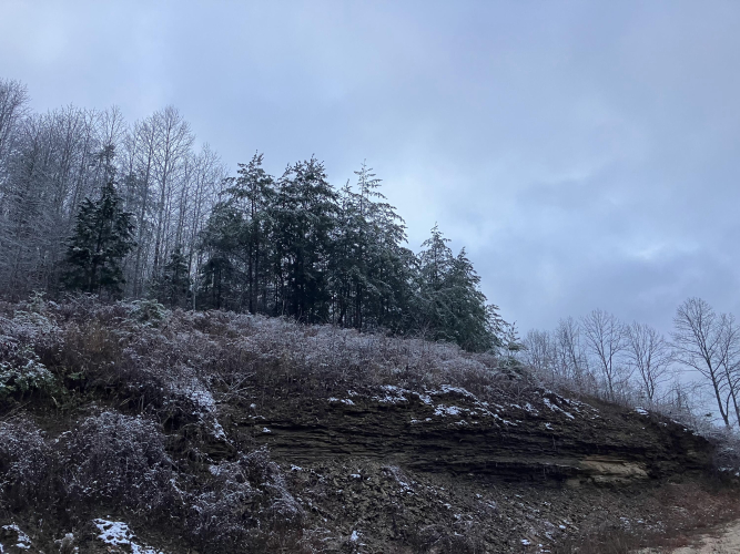 Listing Image 44